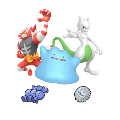 Battle Squad Trainer Kit