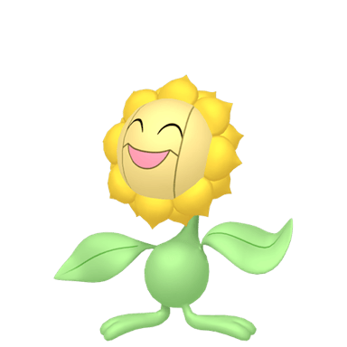 Sunflora