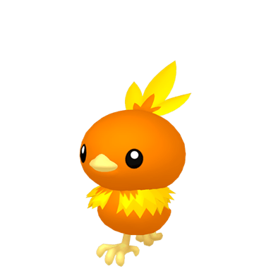 Torchic