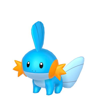 Mudkip