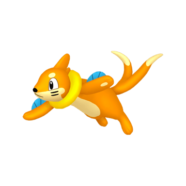 Buizel