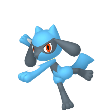 Riolu