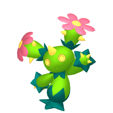 Maractus