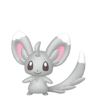 Minccino