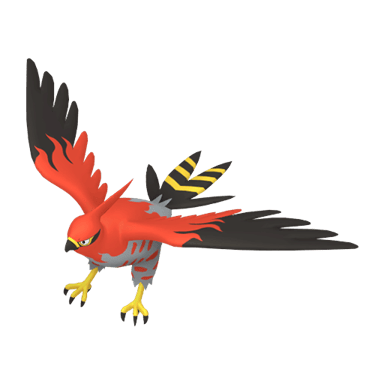 Talonflame