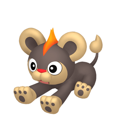 Litleo