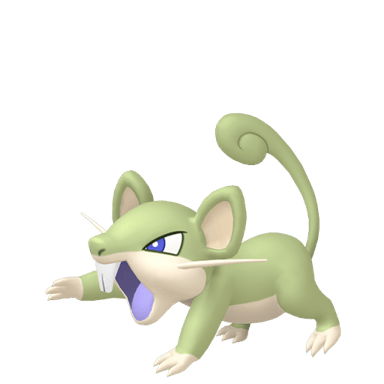 Rattata (Shiny)