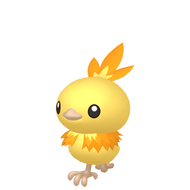 Torchic (Shiny)