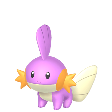 Mudkip (Shiny)