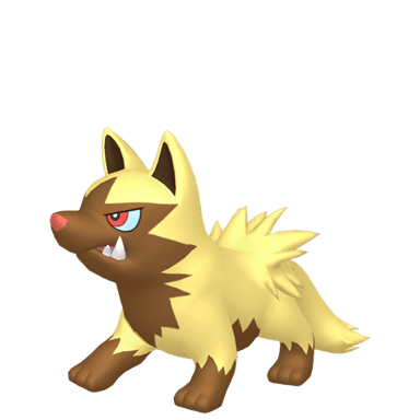Poochyena (Shiny)
