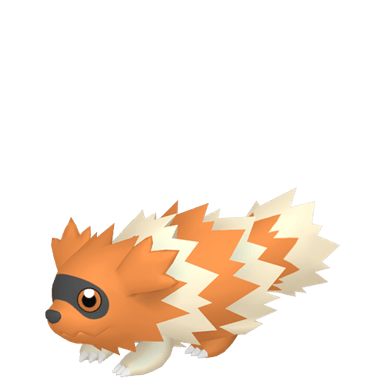 Zigzagoon (Shiny)