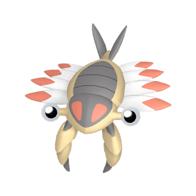 Anorith (Shiny)