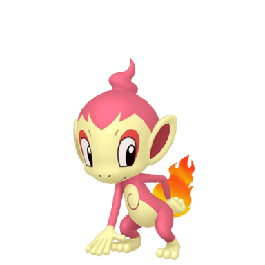 Chimchar (Shiny)