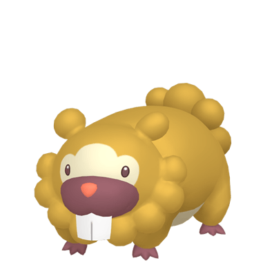 Bidoof (Shiny)