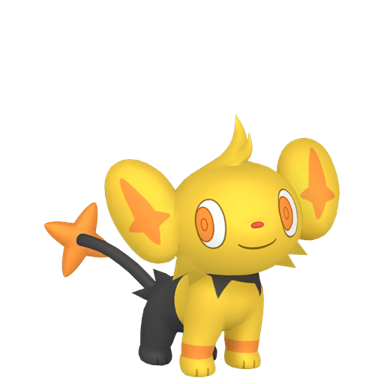 Shinx (Shiny)