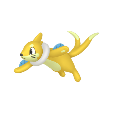 Buizel (Shiny)