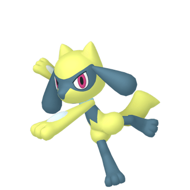 Riolu (Shiny)