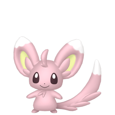 Minccino (Shiny)