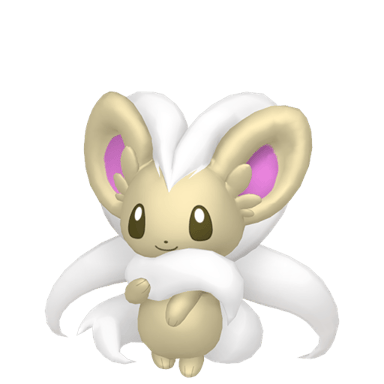 Cinccino (Shiny)