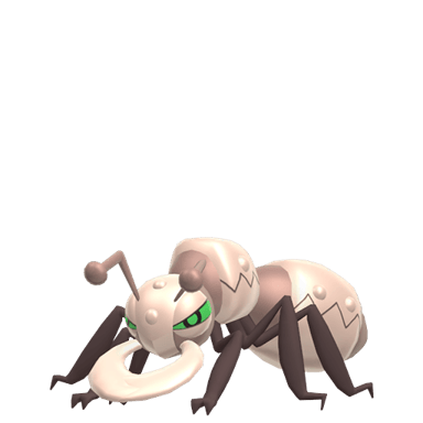 Durant (Shiny)