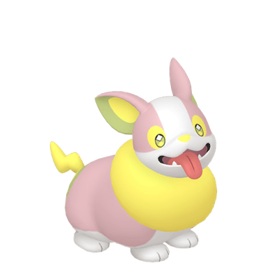 Yamper (Shiny)