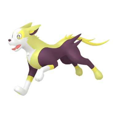 Boltund (Shiny)
