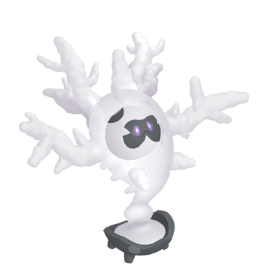 Cursola (Shiny)
