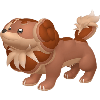 Dachsbun (Shiny)