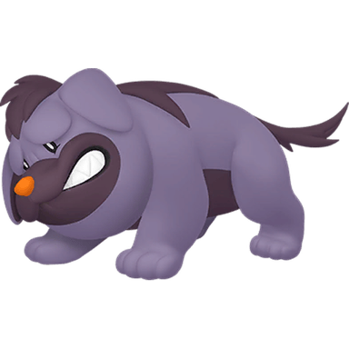 Maschiff (Shiny)