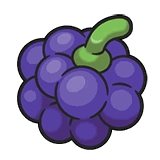 Bluk Berry