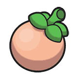 Magost Berry