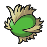 Rabuta Berry