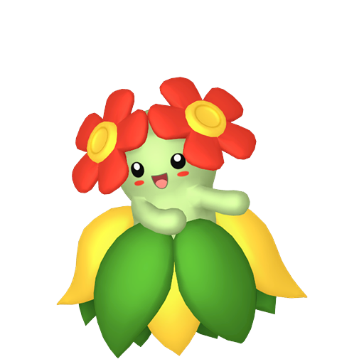 Bellossom Product Image