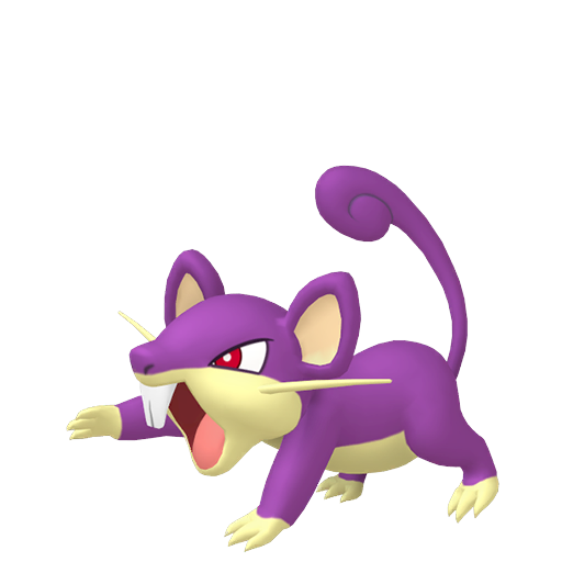 Rattata Product Image