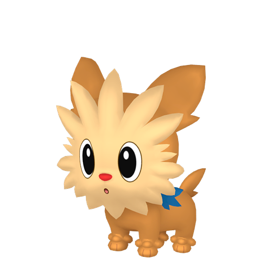 Lillipup Product Image