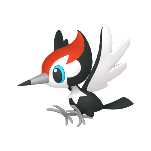 Pikipek Product Image