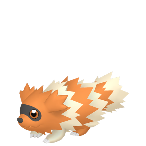 Zigzagoon (Shiny) Product Image