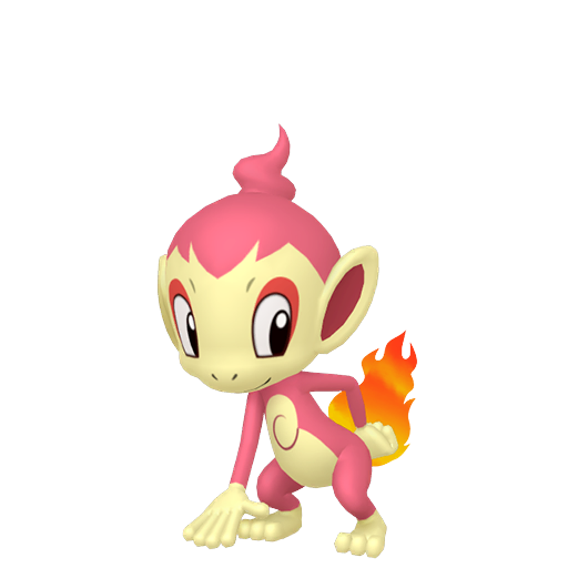 Chimchar (Shiny) Product Image