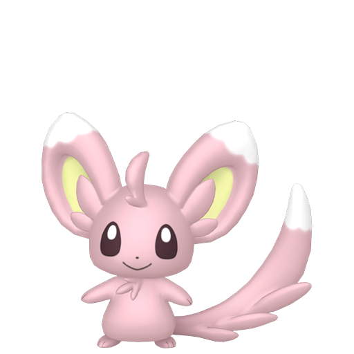 Minccino (Shiny) Product Image