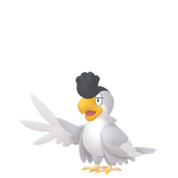 Squawkabilly White Product Image